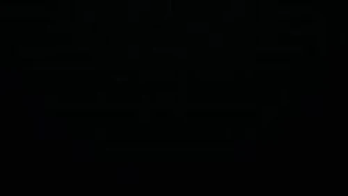 dust an elysian tail