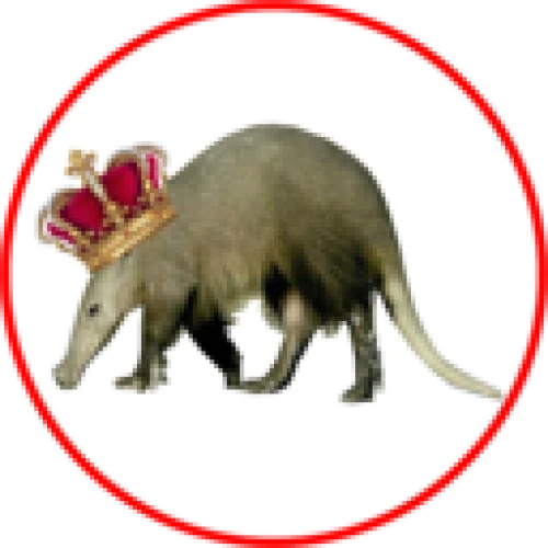 LordAardvark